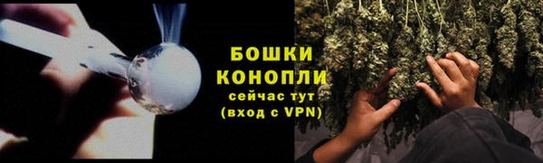 apvp Богданович