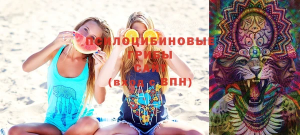 apvp Богданович