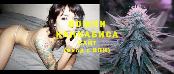apvp Богданович