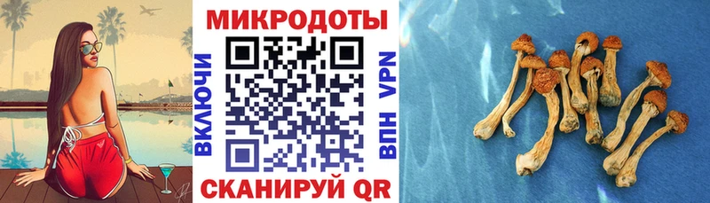 Галлюциногенные грибы Magic Shrooms  Старый Оскол 